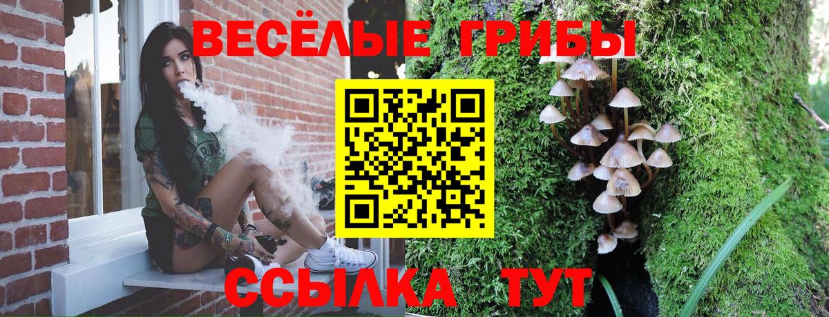 Галлюциногенные грибы Psilocybe Мирный